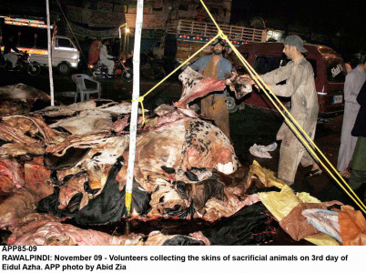 up to 0 4m animals sacrificed in karachi collection largely peaceful