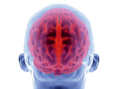 brain scanner used to communicate with patients in vegetative state