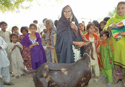 with these animal investments flood surviving women realise there s no kidding around