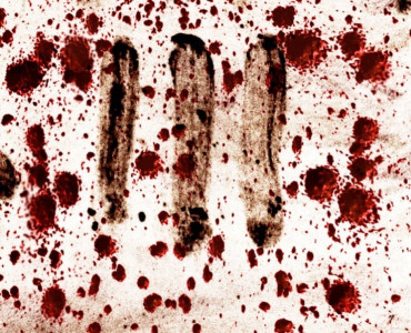 blown cover four intelligence officials killed in jhelum