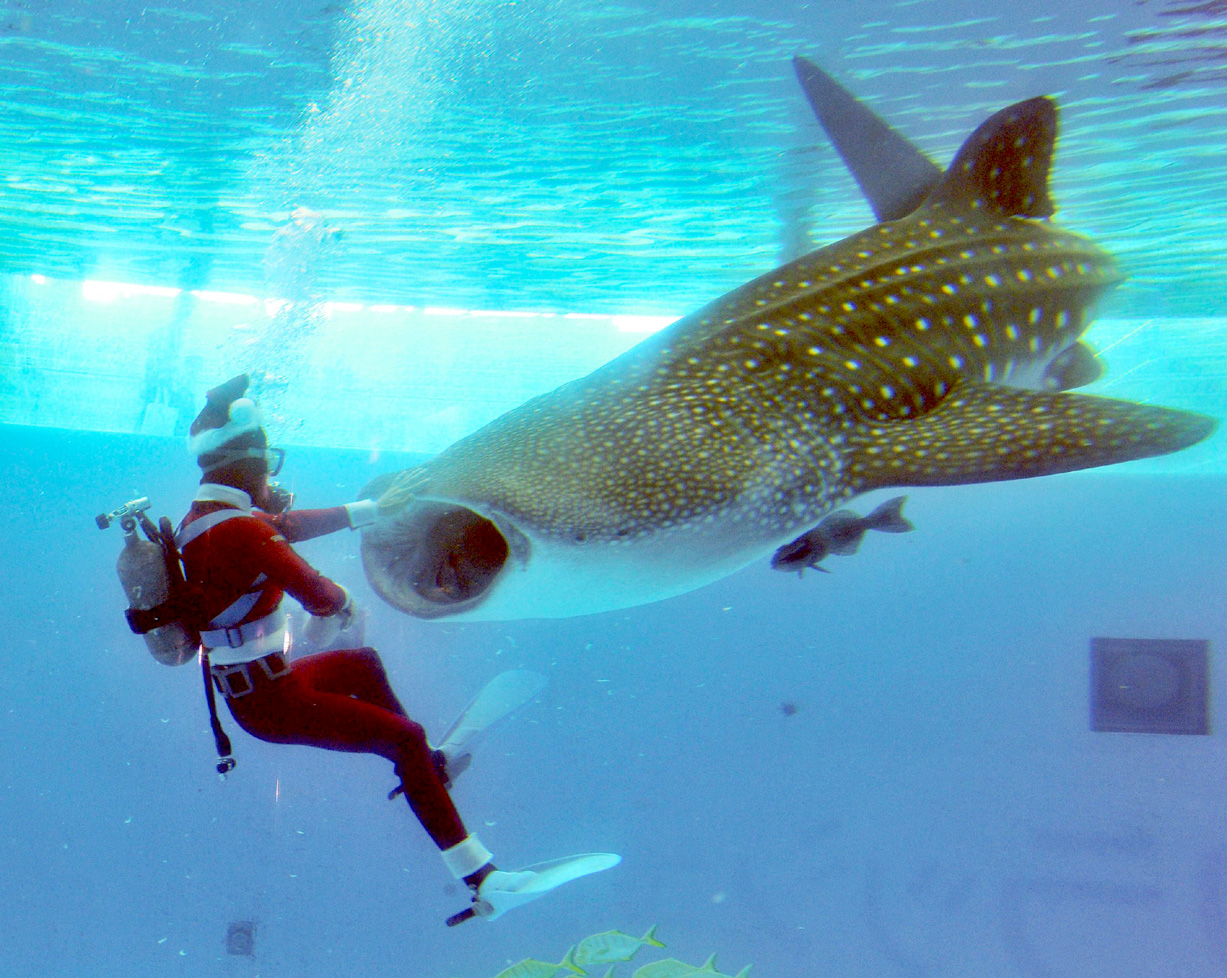 Updated Nov 13, 2011