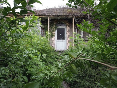 the abandoned garden the abandoned garden