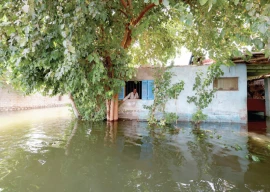 surging nile inundates egypt sudan surging nile inundates egypt sudan