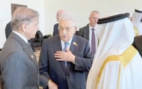 shehbaz meets world leaders in egypt shehbaz meets world leaders in egypt