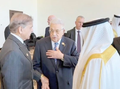 shehbaz meets world leaders in egypt shehbaz meets world leaders in egypt