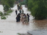 flood mitigation preparedness stressed