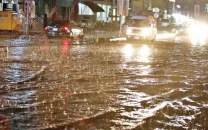 post rain filth sparks public health fears