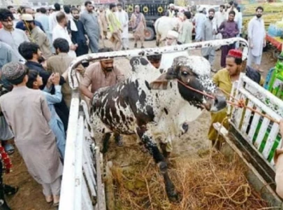 extra slip charges trigger cattle market disputes
