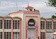 prisoners allege panadol treatment for all diseases