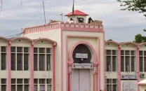 prisoners allege panadol treatment for all diseases