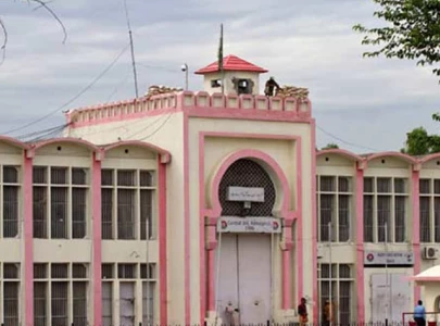 prisoners allege panadol treatment for all diseases