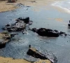 gwadar coast hit by massive oil spill