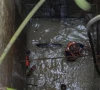 no trace of boy lost in ijp drain