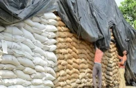 wheat shortfall sparks import calls