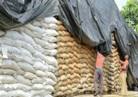 wheat shortfall sparks import calls