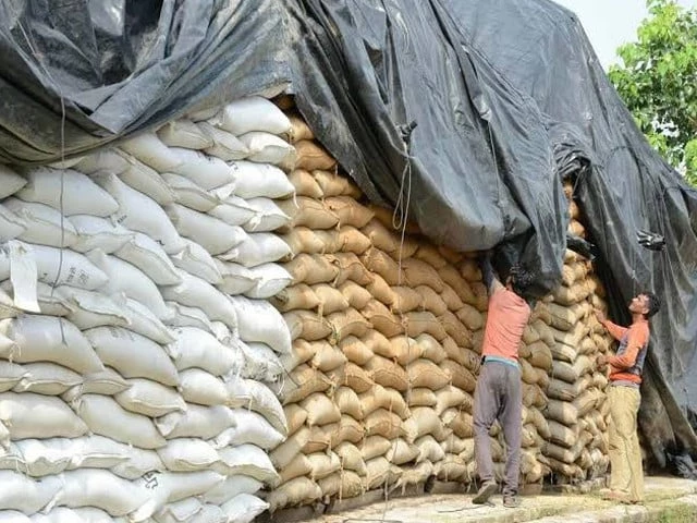 food dept hit by rs2 6b wheat scam clean up food dept hit by rs2 6b wheat scam clean up