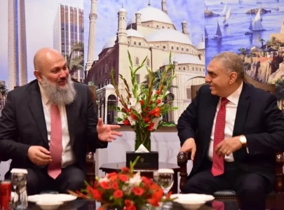 pakistan seeks strategic investment ties with egypt