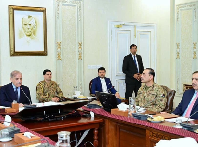 pm shehbaz forms task force to investigate islamabad violence pm shehbaz forms task force to investigate islamabad violence