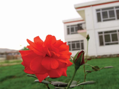 afghanistan the past is not another country afghanistan the past is not another country