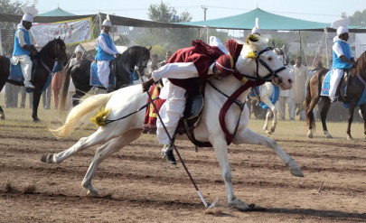 tent pegging 700 horsemen 107 teams in countrywide tournament