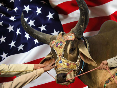 explaining bakra eid to a foreigner why do you people sacrifice animals explaining bakra eid to a foreigner why do you people sacrifice animals