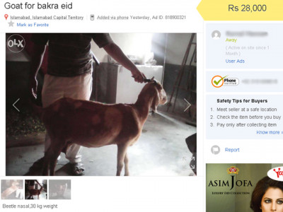 evolving traditions online bakra shopping and a ruined childhood evolving traditions online bakra shopping and a ruined childhood