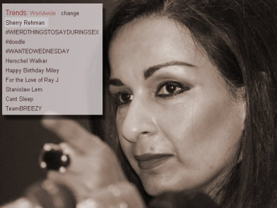 twitter alert all praise for sherry rehman