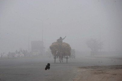 fog disrupts pia flights