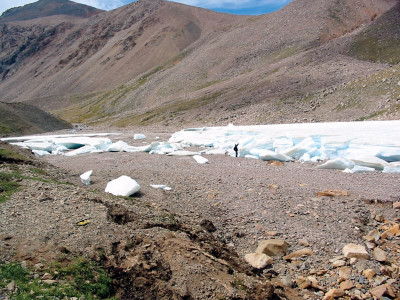 is your city hot order a giant ice cube today