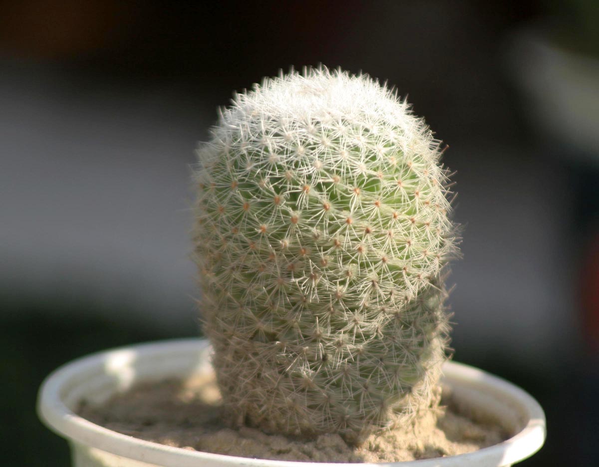 Updated Nov 27, 2011