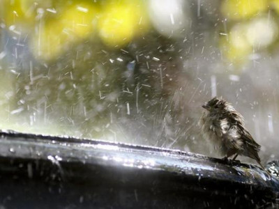 why question god for tornadoes and floods