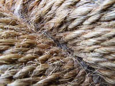 encouraging farmers cultivating jute locally could save 100m in imports encouraging farmers cultivating jute locally could save 100m in imports