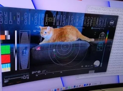 nasa streams cat video from space