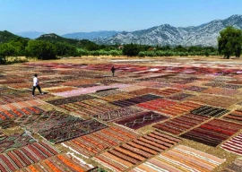 antalya s carpet fields keep tradition alive