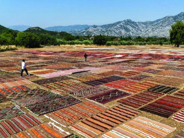 workers display handwoven carpets photo file workers display handwoven carpets photo file
