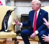 penguin memes soar high after us tariffs penguin memes soar high after us tariffs