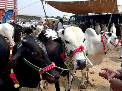 k p announces four day public holidays for eidul azha