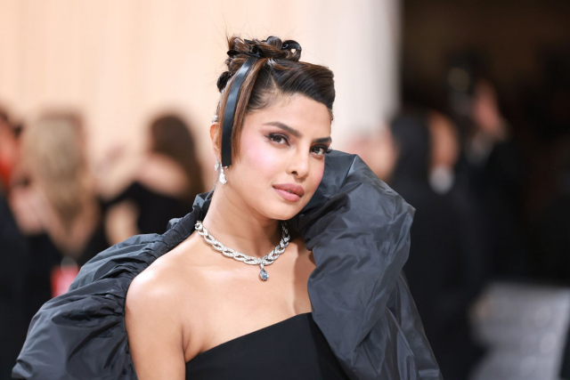 priyanka chopra to reportedly star opposite ranveer singh in don 3 priyanka chopra to reportedly star opposite ranveer singh in don 3
