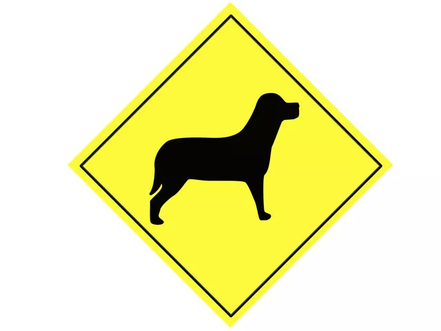 security cover 140 dogs being trained annually security cover 140 dogs being trained annually