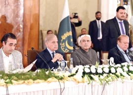 differences set aside to unite for palestine