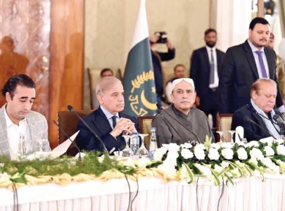 differences set aside to unite for palestine