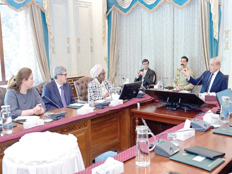 a world bank delegation calls on prime minister shehbaz sharif in islamabad photo ppi