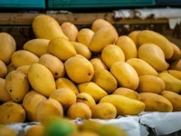 mango exports to iran exempted from financial instrument