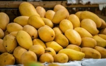 mango exports to iran exempted from financial instrument mango exports to iran exempted from financial instrument