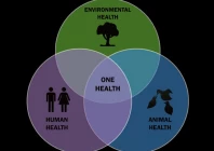 experts push one health framework
