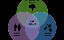 experts push one health framework