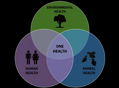 experts push one health framework experts push one health framework