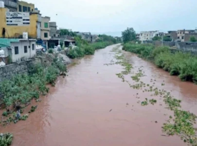 pindi ramps up flood defences