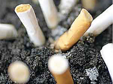 Tobacco production: Beating the average global yield