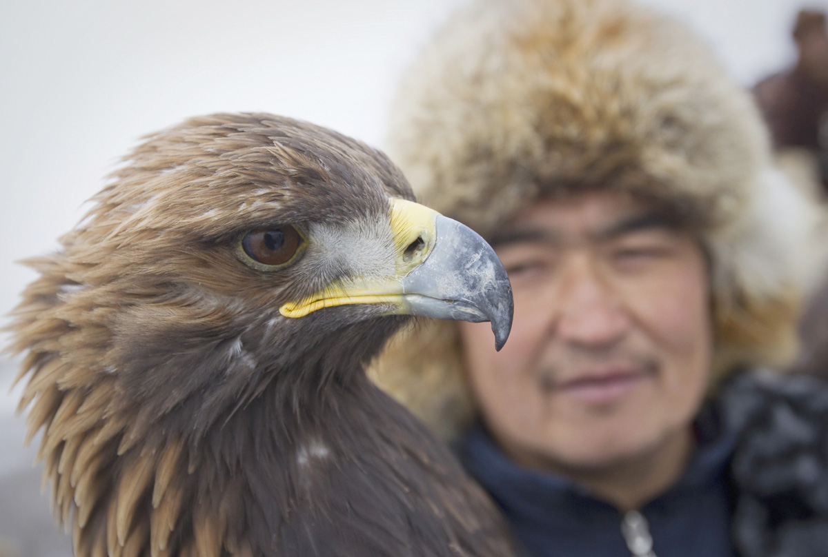 Updated Dec 10, 2011